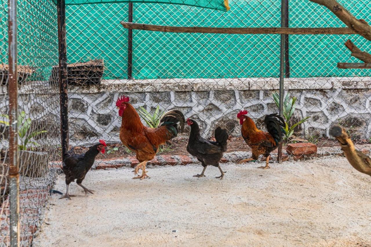 Saffronstays Serene Retreat, Alibaug Алибаг Екстериор снимка